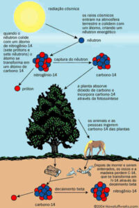 Como funciona a datação por carbono-14?